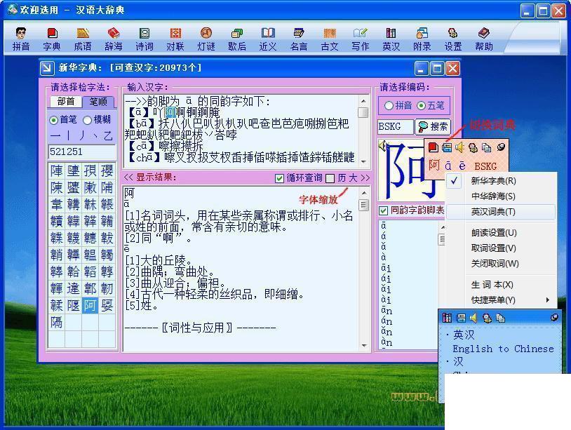 汉语大辞典