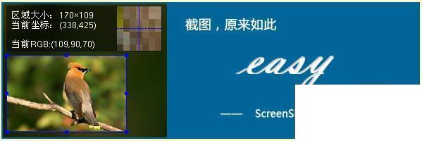屏幕截图