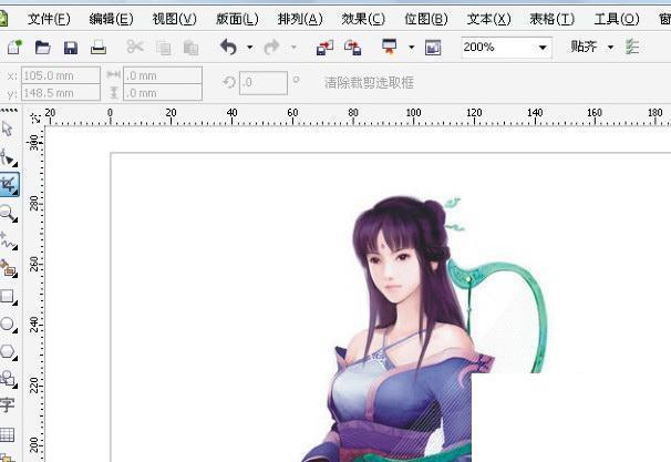 CorelDraw（CDR） X4