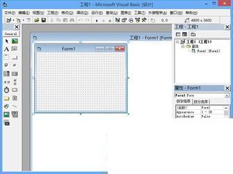 Visual Basic