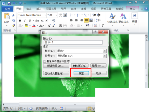 word 2010