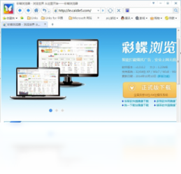 彩蝶浏览器1.0