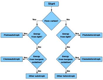 SourceCode to Flowchart2.5