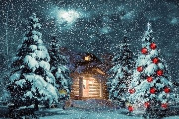 Snow Viewer2.0