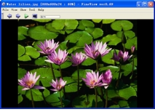 Fineview0.69