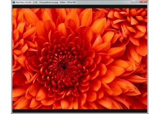 MycView1.3
