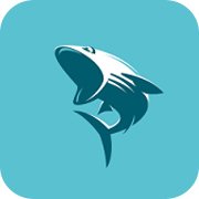 鲨鱼影视电脑版3.4.2