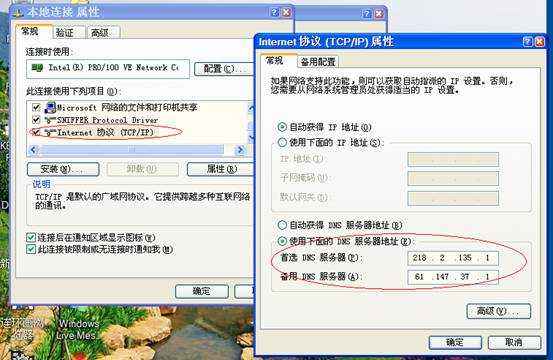 DNSDataView1.56