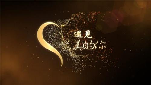 最美的电影海报1.0