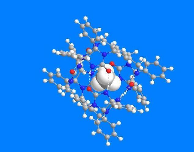 鸿鹄3D化学