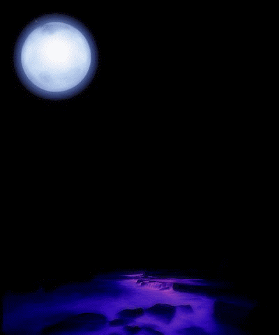 PNG动画转成GIF动画(apng2gif)
