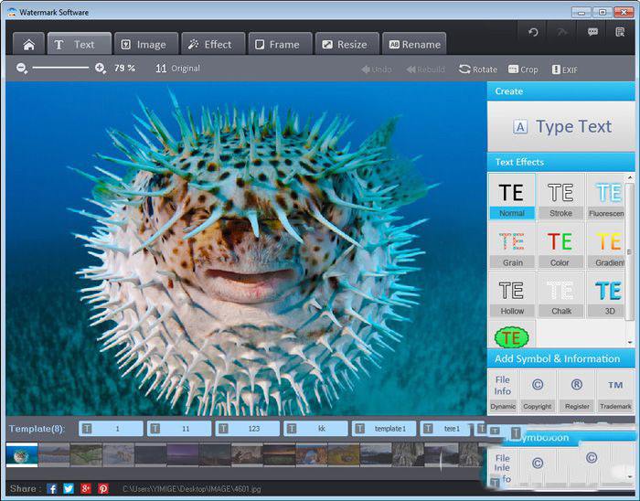 WatermarkSoftware