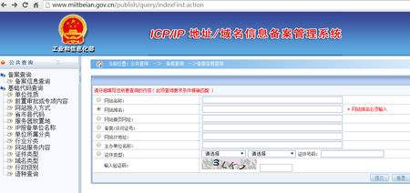 域名网页查询助手