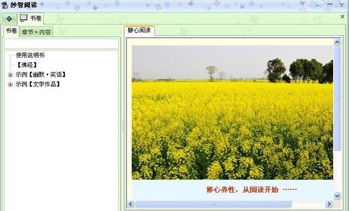 妙智阅读