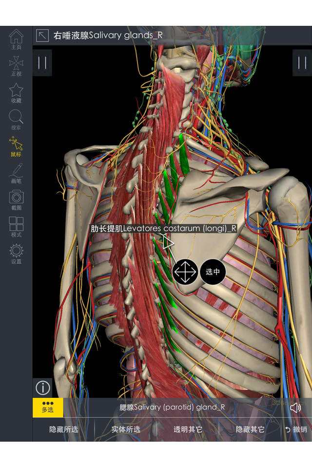 3dbody三维人体解剖软件