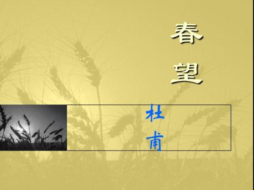 春望PPT课件