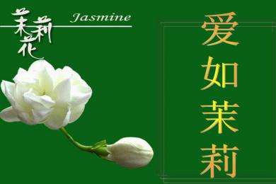 爱如茉莉PPT课件