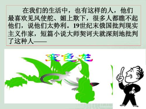 变色龙PPT课件