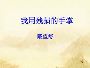 我用残损的手掌PPT课件8