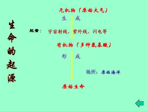 生命的起源PPT