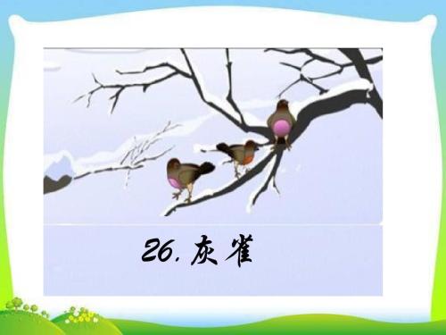 灰雀PPT教学课件
