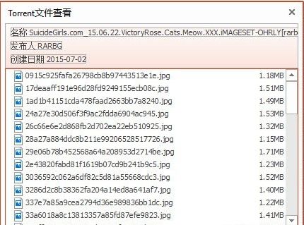 网络搜索先锋