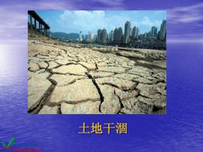 淅沥的小雨PPT课件