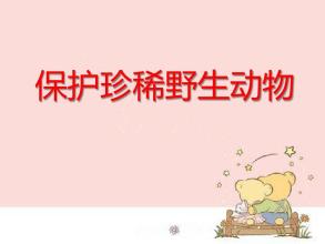 保护珍稀野生动物PPT课件