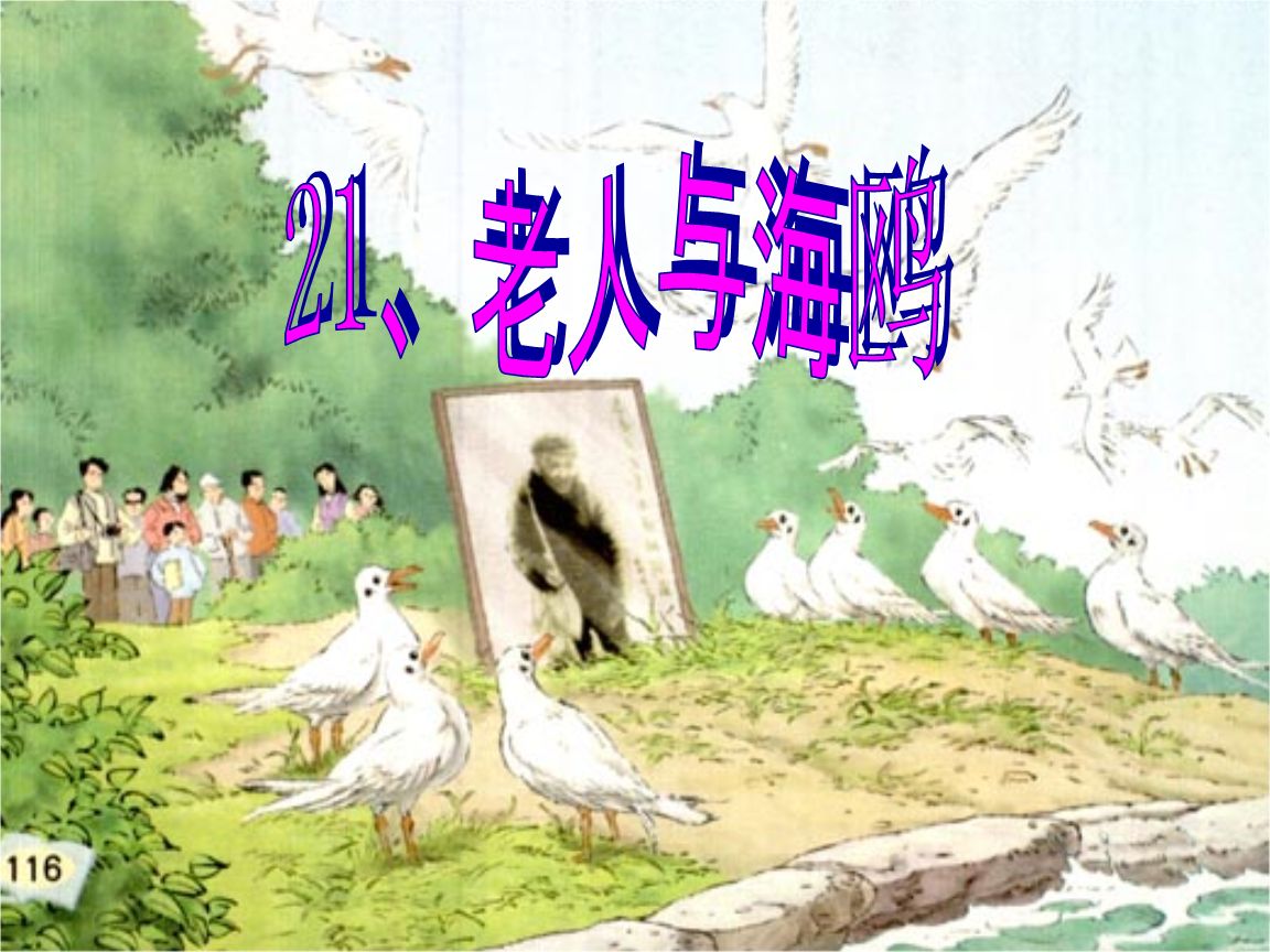 老人与海鸥PPT课件