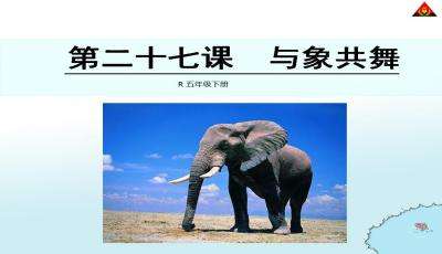 与象共舞PPT课件