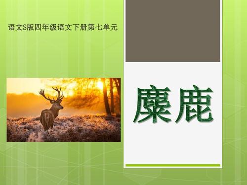 麋鹿PPT课件