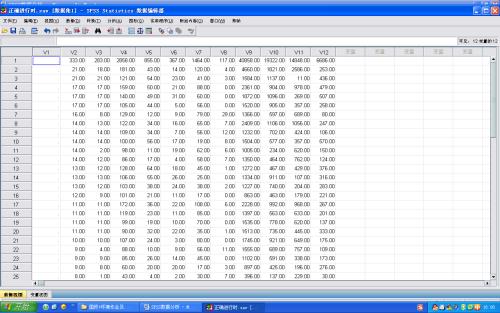 SPSS 2019版