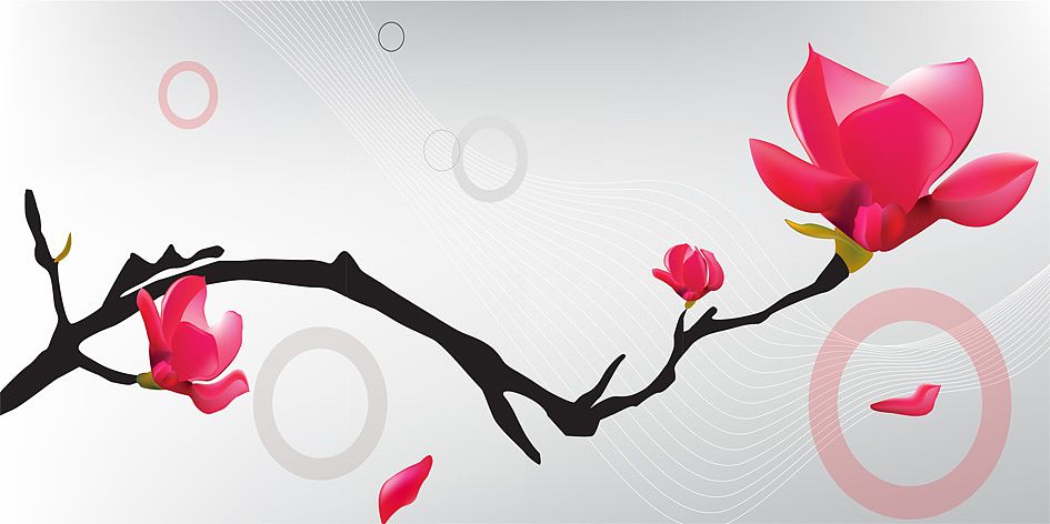美丽玉兰花矢量图