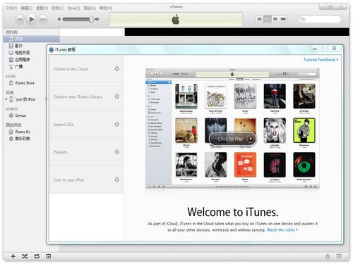 iTunes（推）