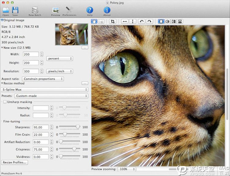 PhotoZoomClassicForMac