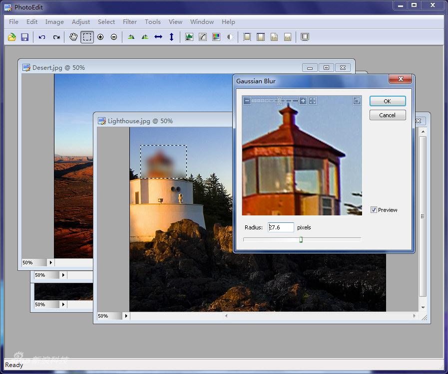SunlitGreenPhotoEditor