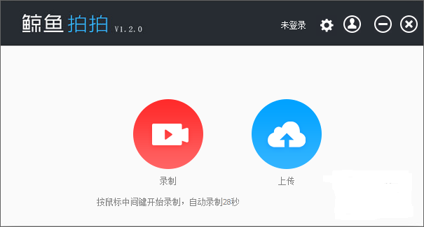 鲸鱼拍拍