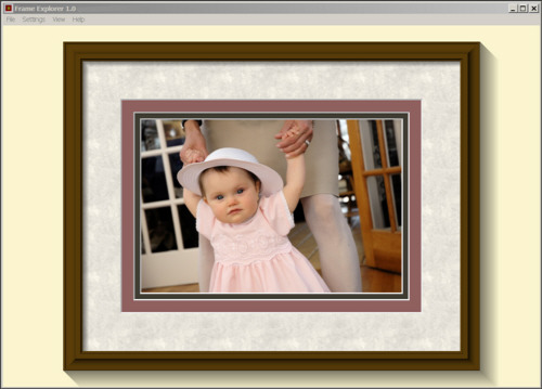 DigitalLightandColorFrameExplorer