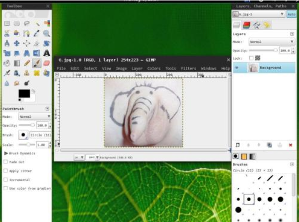 GIMPforLinux