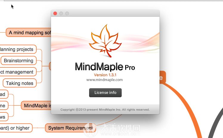 MapleProfessional