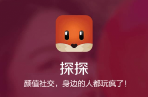 探探