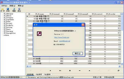 破障ACCESS数据库查看器