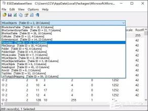 EDB文件查看工具(ESEDatabaseView)