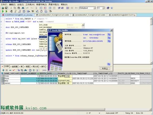 Oracle客户端(OracleSQLHandler)