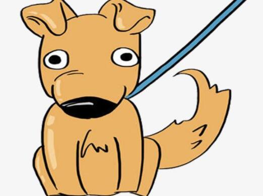 电子导盲犬(eGuideDog)