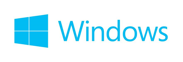 MicrosoftWindowsInstaller