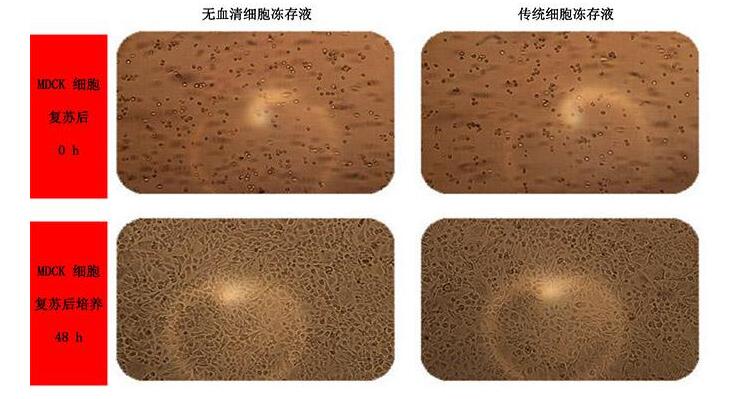 细胞冻存标本管理系统