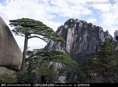 黄山迎客松旅游网景点管理系统