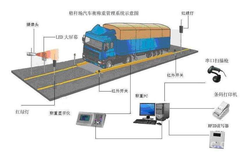 胴体自动称重系统