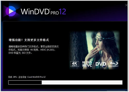 WinDVD